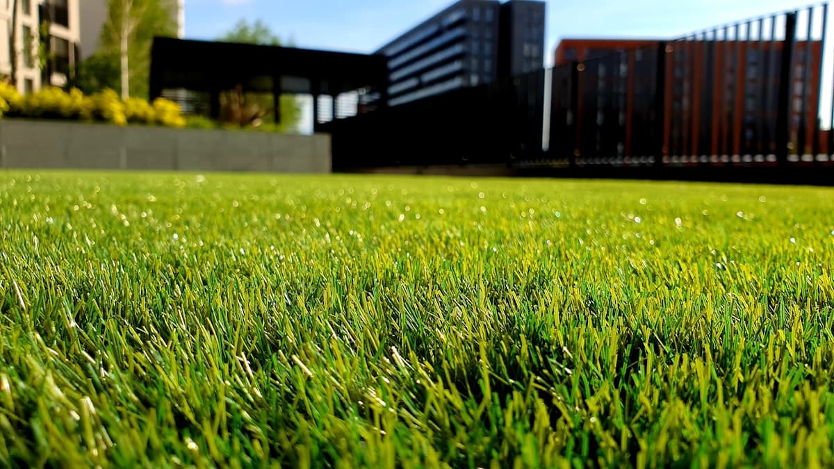 Professional landscaper mowing a manicured residential lawn on a sunny day