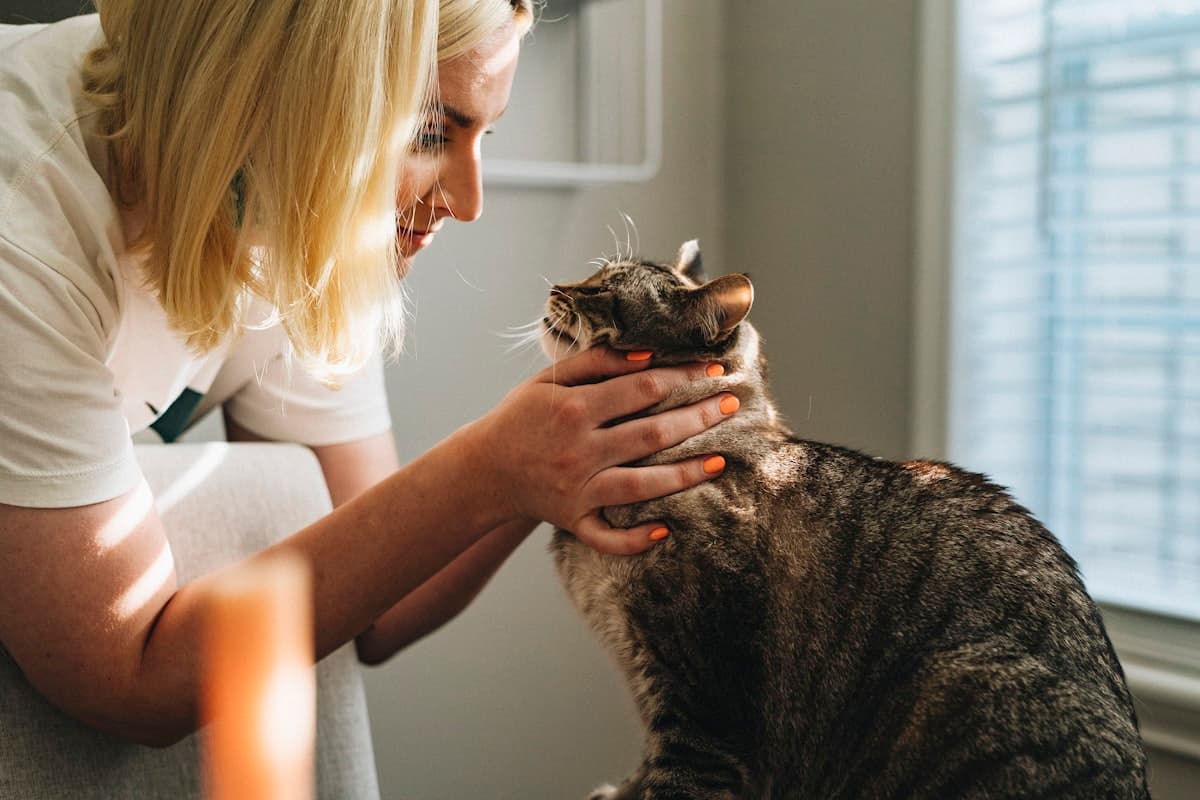 Clean veterinary clinic waiting area with reception desk and pet-friendly design
